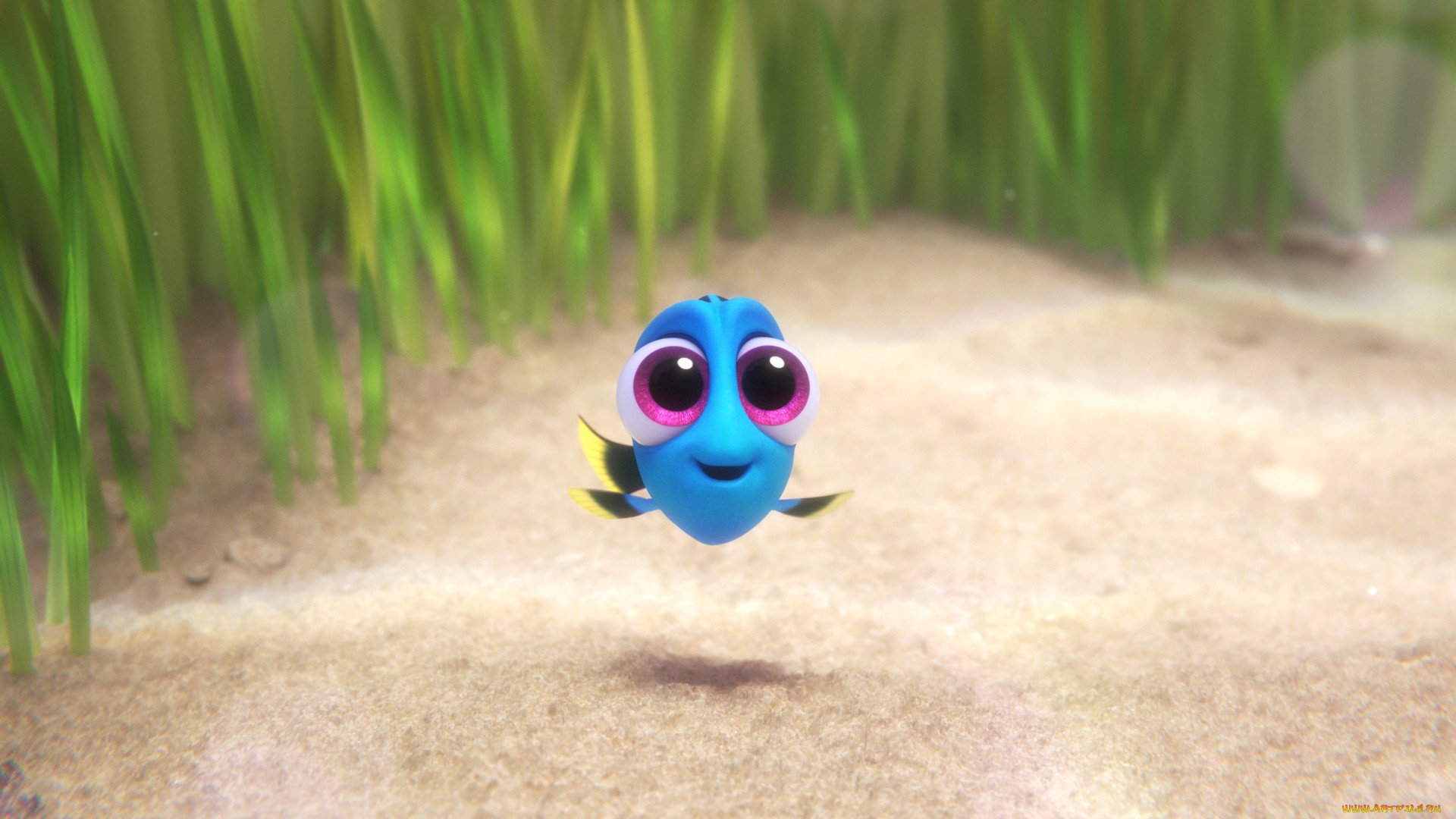 , finding dory, 